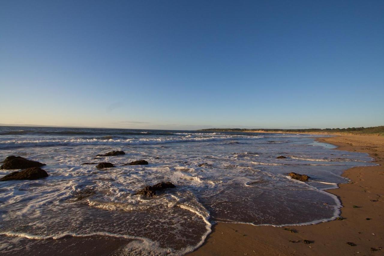 Cosy 2-Bdr Apartment & 15 Minutes To Edinburgh By Train & Free Parking Prestonpans Exteriör bild